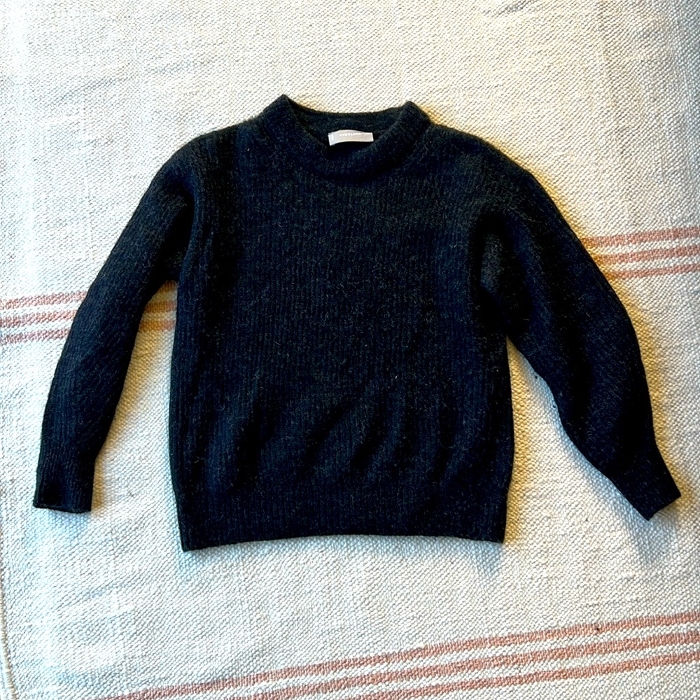 Everlane cocoon crew in alpaca